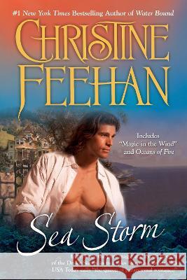 Sea Storm Christine Feehan 9780425236772 Berkley Publishing Group - książka