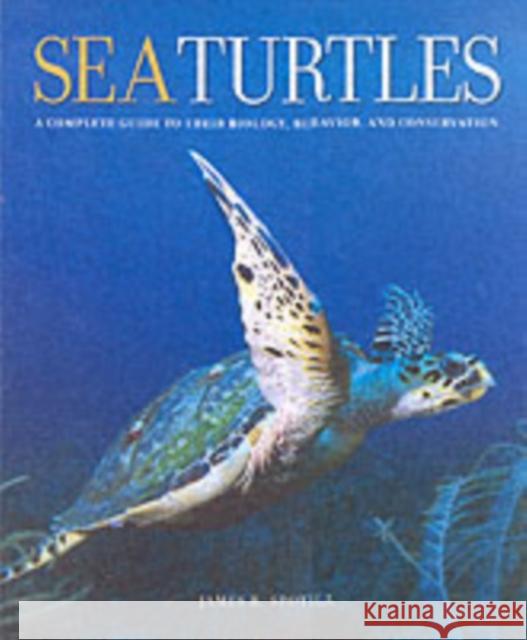 Sea Turtles: A Complete Guide to Their Biology, Behavior, and Conservation Spotila, James R. 9780801880070 Johns Hopkins University Press - książka