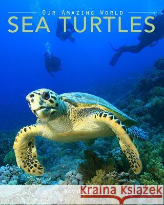 Sea Turtles: Amazing Pictures & Fun Facts on Animals in Nature Kay D 9781519103130 Createspace - książka