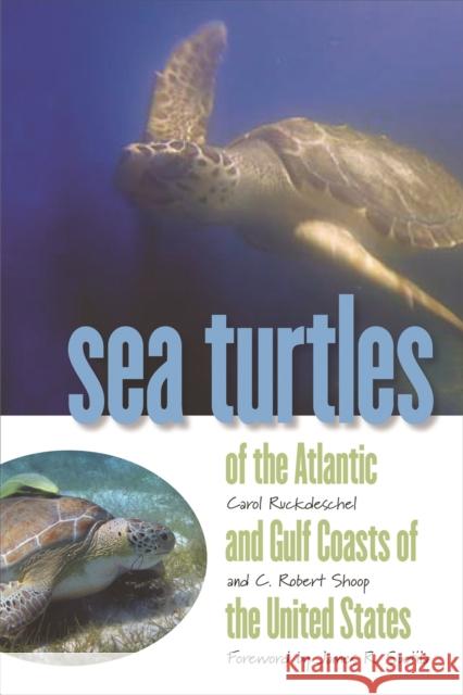 Sea Turtles of the Atlantic and Gulf Coasts of the United States Carol Ruckdeschel C. Robert Shoop Meg Hoyle 9780820326146 University of Georgia Press - książka