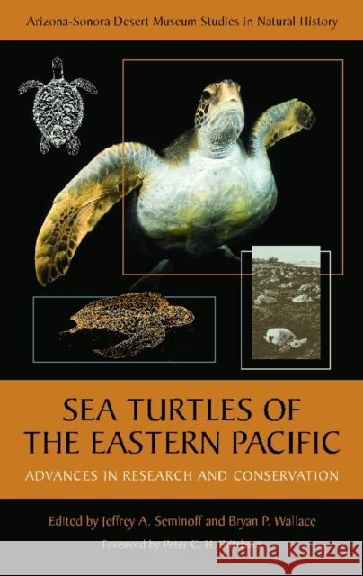 Sea Turtles of the Eastern Pacific: Advances in Research and Conservation Seminoff, Jeffrey A. 9780816511587 University of Arizona Press - książka