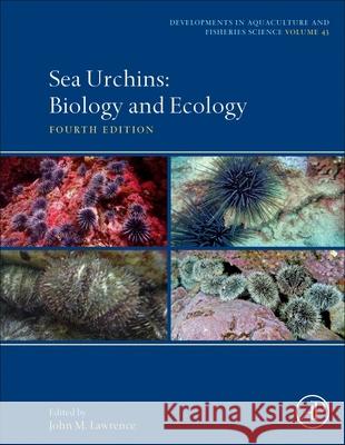 Sea Urchins: Biology and Ecology John M. Lawrence 9780128195703 Academic Press - książka