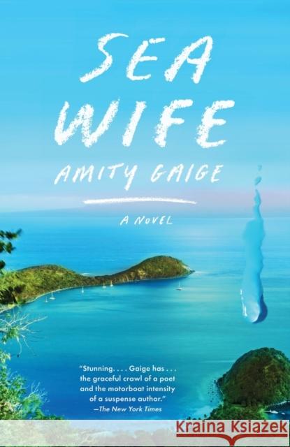 Sea Wife: A novel Amity Gaige 9780525566922 Knopf Doubleday Publishing Group - książka