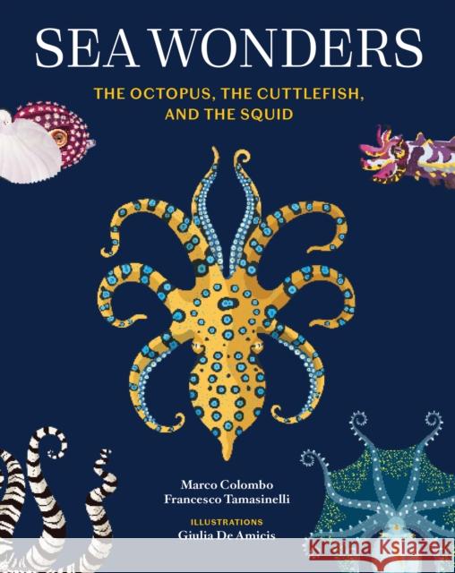 Sea Wonders: The Octopus, the Cuttlefish, and the Squid Francesco Tomasinelli 9781797233147 Princeton Architectural Press - książka