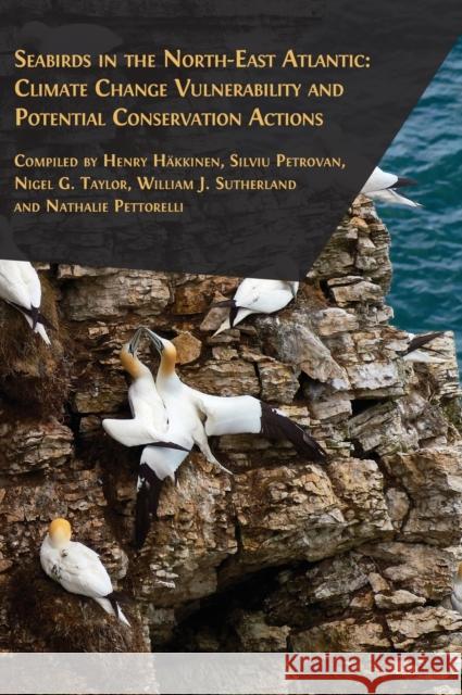 Seabirds in the North-East Atlantic Taylor Nigel G. Taylor 9781805110125 Open Book Publishers - książka