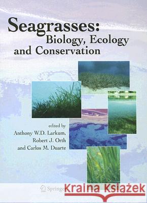 Seagrasses: Biology, Ecology and Conservation Anthony W. D. Larkum Robert J. Orth Carlos M. Duarte 9781402029424 Springer - książka