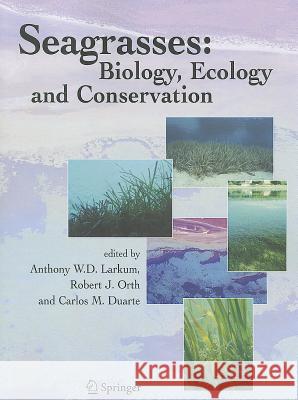 Seagrasses: Biology, Ecology and Conservation Anthony W. D. Larkum Robert J. Orth Carlos Duarte 9789048167517 Not Avail - książka