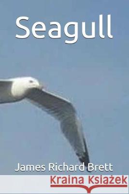 Seagull James Richard Brett 9781690891147 Independently Published - książka