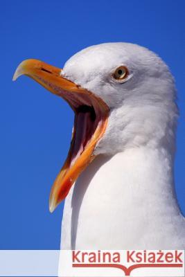 Seagull: Seagulls Learn, Remember and Even Pass on Behaviours, Such as Stamping Their Feet in a Group to Imitate Rainfall and T Planners and Journals 9781796550641 Independently Published - książka