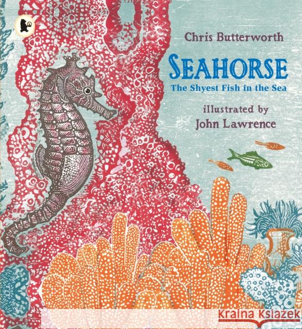 Seahorse: The Shyest Fish in the Sea Chris Butterworth 9781406367027 WALKER BOOKS - książka