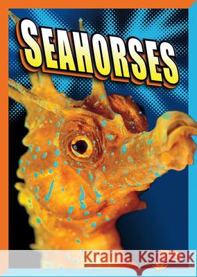 Seahorses Gail Terp 9781623102852 Bolt! - książka