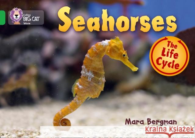Seahorses: Band 05/Green Bergman, Mara 9780007461912 HarperCollins Publishers - książka