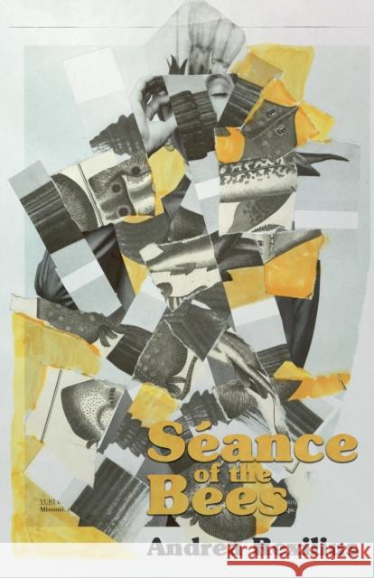 Seance of the Bees Andrea Rexilius 9781960988898 Clash Books - książka