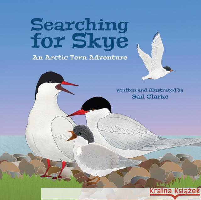 Searching for Skye: An Arctic Tern Adventure Gail Clarke 9781912406180 Gupole Publications - książka
