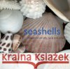 Seashells Josie Iselin Sandy Carlson 9780810993273 HNA Books