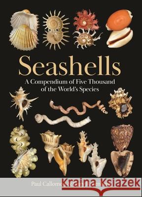 Seashells: A Compendium of Five Thousand of the World's Species Paul Callomon Gary Rosenberg 9780691265285 Princeton University Press - książka