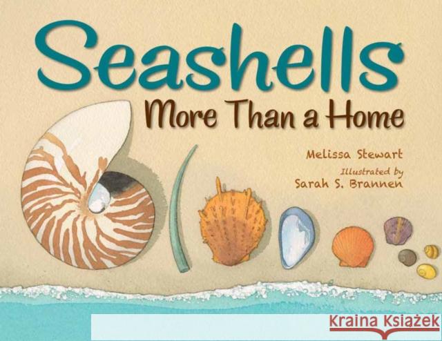 Seashells: More Than a Home Melissa Stewart Sarah Brannen 9781580898102 Charlesbridge Publishing - książka