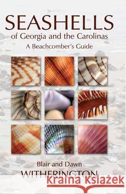 Seashells of Georgia and the Carolinas: A Beachcomber's Guide Blair E. Witherington 9781561644971 Pineapple Press - książka
