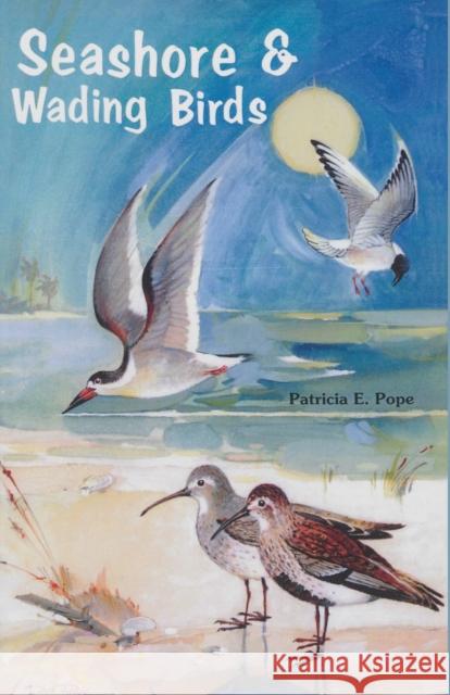 Seashore and Wading Birds of Florida Pope, Patricia E. 9780820009032 Great Outdoors Publishing Co - książka