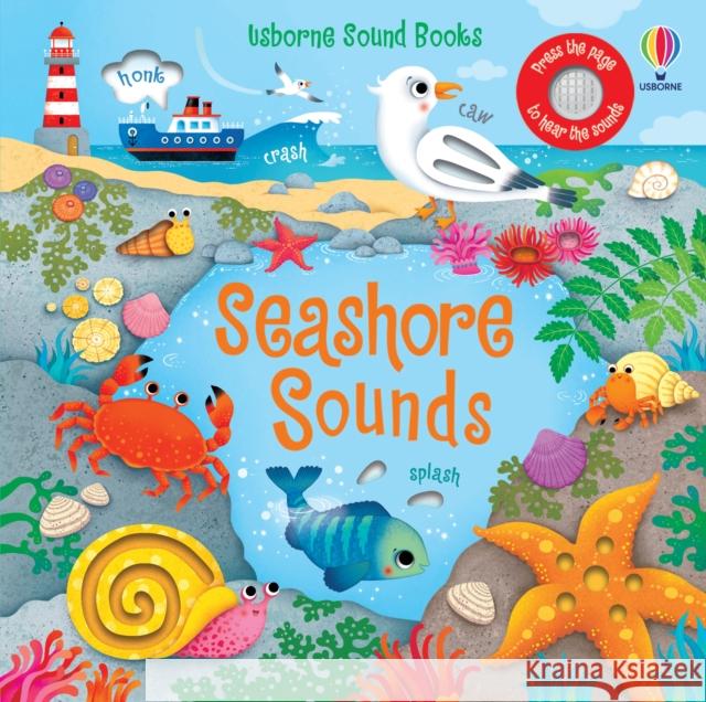 Seashore Sounds Federica Iossa Sam Taplin Sam Taplin 9781474990042 Usborne Publishing Ltd - książka