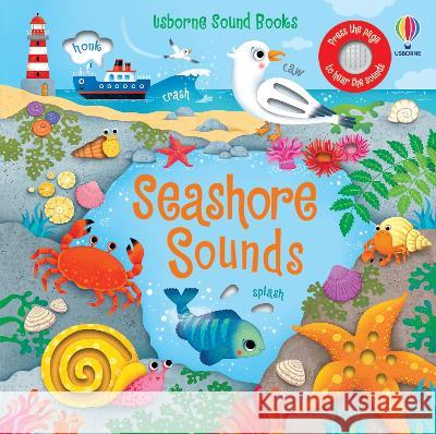Seashore Sounds Sam Taplin Federica Iossa 9781805074663 Usborne Books - książka