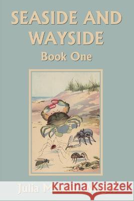 Seaside and Wayside, Book One (Yesterday's Classics) Julia McNair Wright 9781633340749 Yesterday's Classics - książka