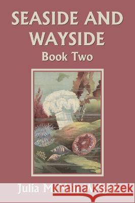 Seaside and Wayside, Book Two (Yesterday\'s Classics) Julia McNair Wright 9781633340855 Yesterday's Classics - książka