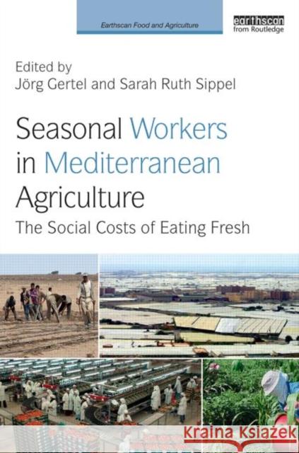 Seasonal Workers in Mediterranean Agriculture: The Social Costs of Eating Fresh Gertel, Jörg 9780415711685 Routledge - książka