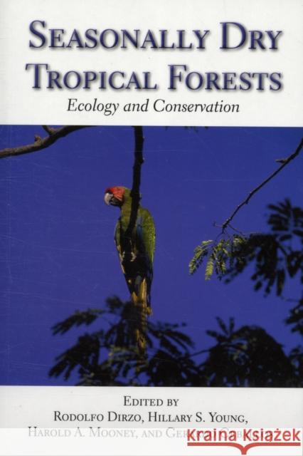 Seasonally Dry Tropical Forests : Ecology and Conservation Rodolfo Dirzo 9781597267045  - książka