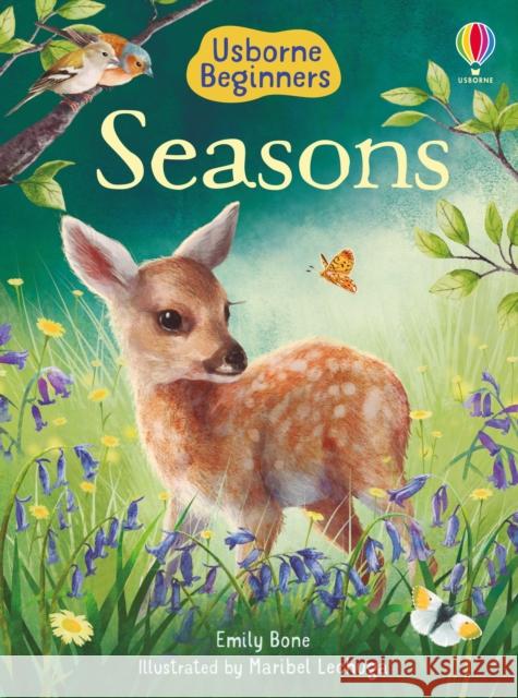 Seasons Emily Bone Maribel Lechuga  9781474979405 Usborne Publishing Ltd - książka