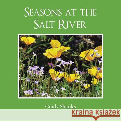 Seasons at the Salt River Cindy Shanks 9781524645892 Authorhouse - książka