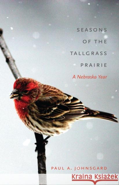 Seasons of the Tallgrass Prairie: A Nebraska Year Paul A. Johnsgard 9780803253377 Bison Books - książka