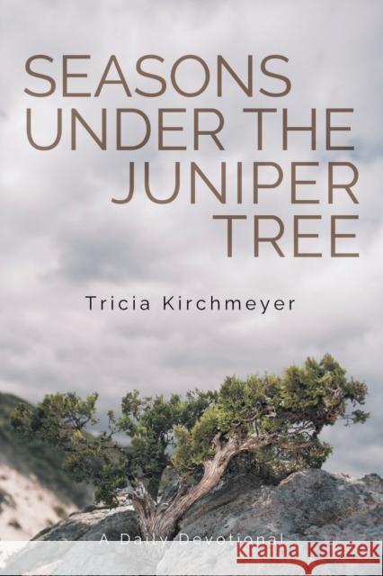 Seasons Under the Juniper Tree: A Daily Devotional Tricia Kirchmeyer Jenny Shute 9781684880034 Clay Bridges Press - książka