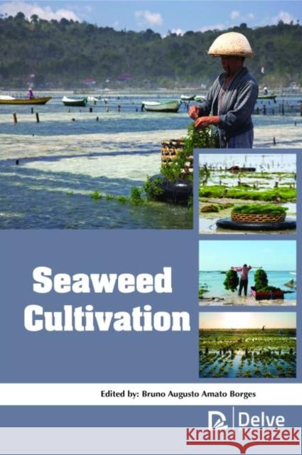 Seaweed Cultivation Bruno Augusto Amato Borges   9781773610399 Arcler Education Inc - książka