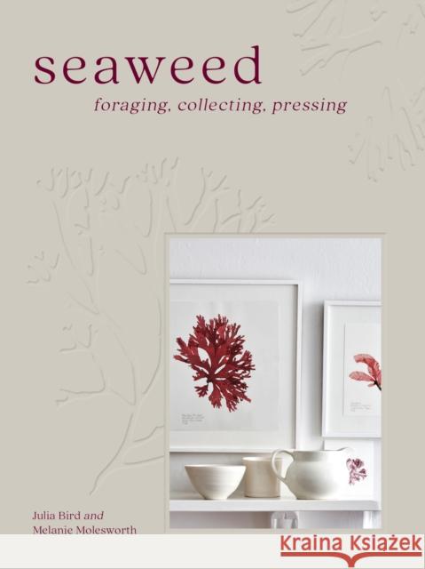 Seaweed: Foraging, Collecting, Pressing Julia Bird 9780008557409 HarperCollins Publishers - książka