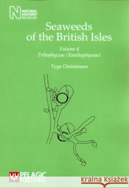 Seaweeds of the British Isles: Tribophyceae (Xanthophyceae) Christensen, Tyge 9781907807732 Pelagic Publishing - książka