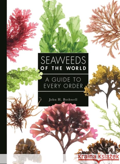Seaweeds of the World: A Guide to Every Order Bothwell, John 9780691228549 Princeton University Press - książka