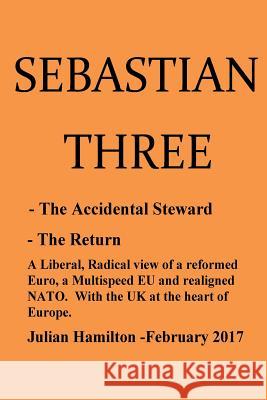 Sebastian Three: -The Accidental Steward - The Return MR Julian Edward Hamilton 9780993281785 J E Hamilton - książka