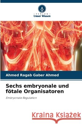 Sechs embryonale und fötale Organisatoren Ahmed, Ahmed Ragab Gaber 9786630302578 Verlag Unser Wissen - książka