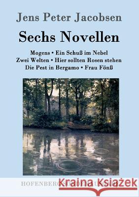 Sechs Novellen Jens Peter Jacobsen 9783843093620 Hofenberg - książka