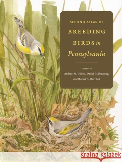 Second Atlas of Breeding Birds in Pennsylvania Andrew M. Wilson Daniel W. Brauning Robert S. Mulvihill 9780271056302 Penn State University Press - książka