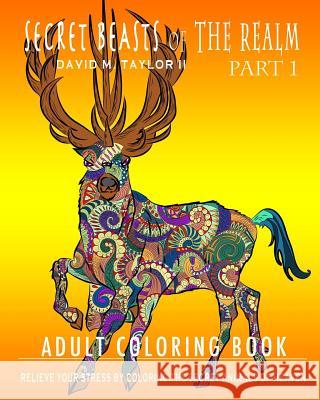 Secret Beasts of The Realm: Part 1 Taylor II, David 9780988821644 House of Dt Books - książka