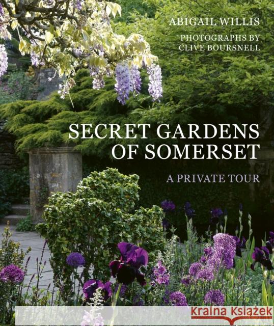 Secret Gardens of Somerset: A Private Tour Abigail Willis 9781836004912 Frances Lincoln - książka