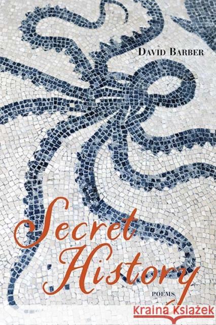 Secret History: Poems David Barber 9780810141223 Northwestern University Press - książka