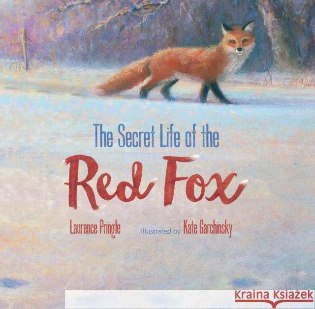 Secret Life of the Red Fox Laurence Pringle 9781629792606 Astra Publishing House - książka