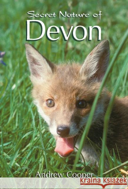 Secret Nature of Devon Andrew Cooper 9781903998502 GREEN BOOKS - książka