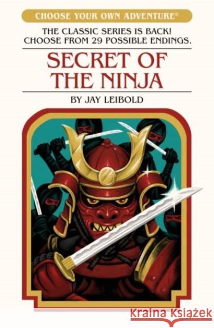Secret of the Ninja Jay Leibold 9781782694991 Pushkin Children's Books - książka