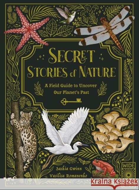 Secret Stories of Nature: A Field Guide to Uncover Our Planet's Past Saskia Gwinn 9780711280342 Quarto Publishing PLC - książka