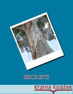 Secrets Ryan Thomas Bae 9781497410916 Createspace - książka