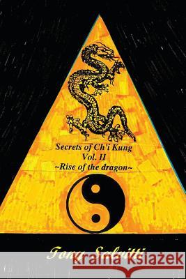 Secrets of Ch'i Kung Rise of the dragon Volume II: Rise of the dragon Salvitti, Tony 9781470012922 Createspace - książka